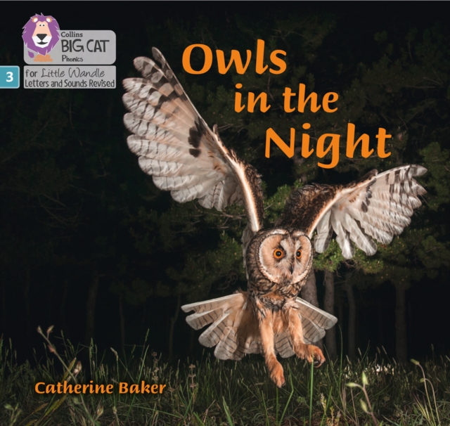 Owls in the Night : Phase 3 Set 2, Paperback / softback Book