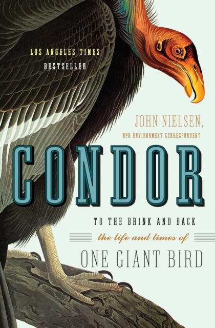 Condor : To the Brink and Back--The Life and Times of One Giant Bird, Paperback / softback Book