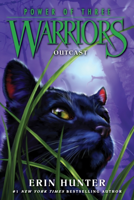 Warriors: Power of Three #3: Outcast, EPUB eBook