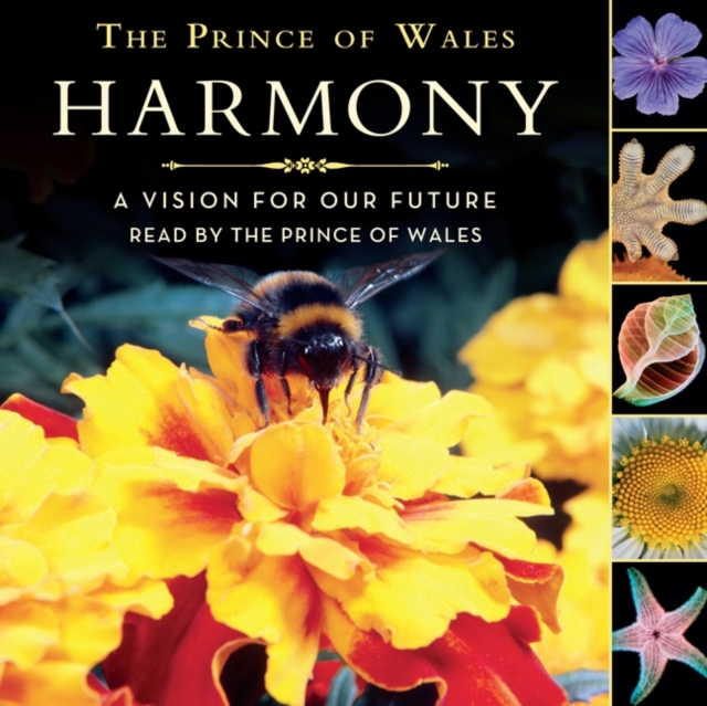 Harmony Children's Edition, eAudiobook MP3 eaudioBook