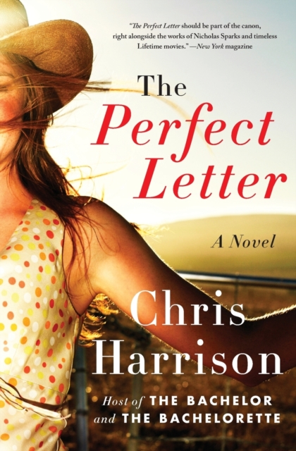 The Perfect Letter : A Novel, Paperback / softback Book