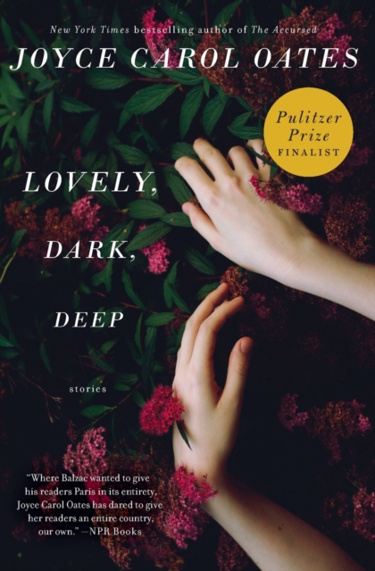 Lovely, Dark, Deep : Stories, Paperback / softback Book