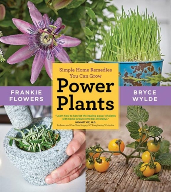 Power Plants : Simple Home Remedies You Can Grow, Paperback / softback Book