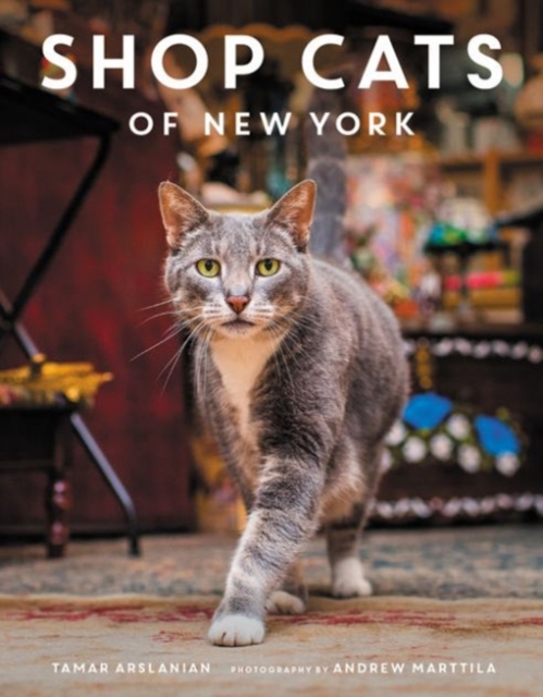Shop Cats of New York, Hardback Book