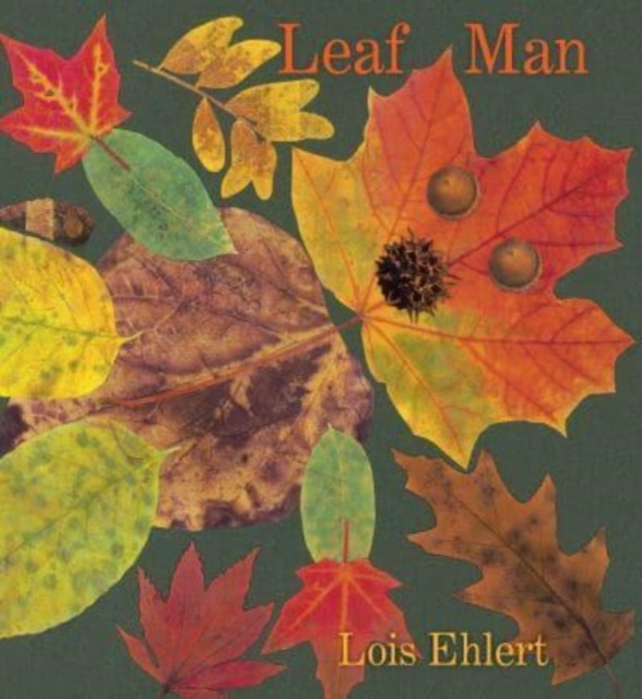 Leaf Man Board Book, Board book Book