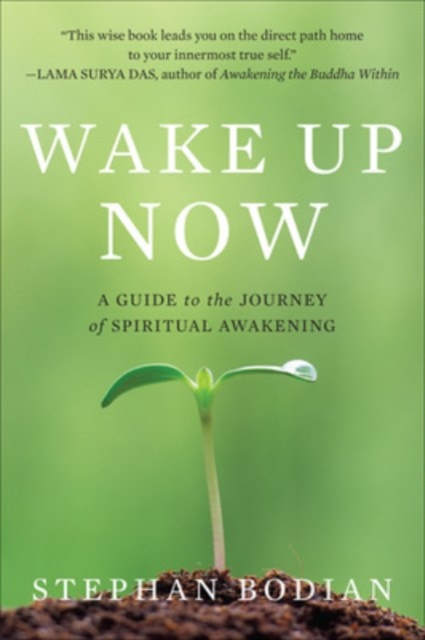 Wake Up Now, Paperback / softback Book