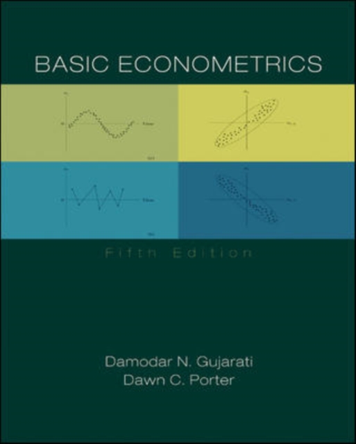 Basic Econometrics, Hardback Book