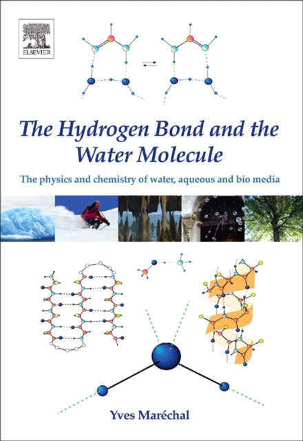 The Hydrogen Bond and the Water Molecule : The Physics and Chemistry of Water, Aqueous and Bio-Media, PDF eBook