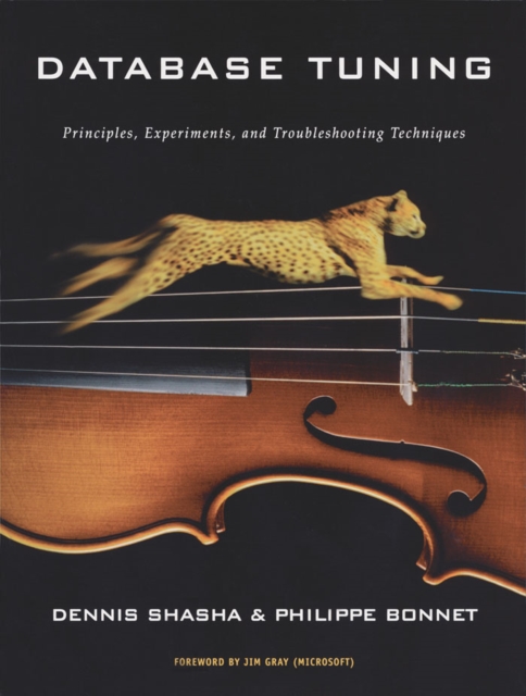 Database Tuning : Principles, Experiments, and Troubleshooting Techniques, PDF eBook