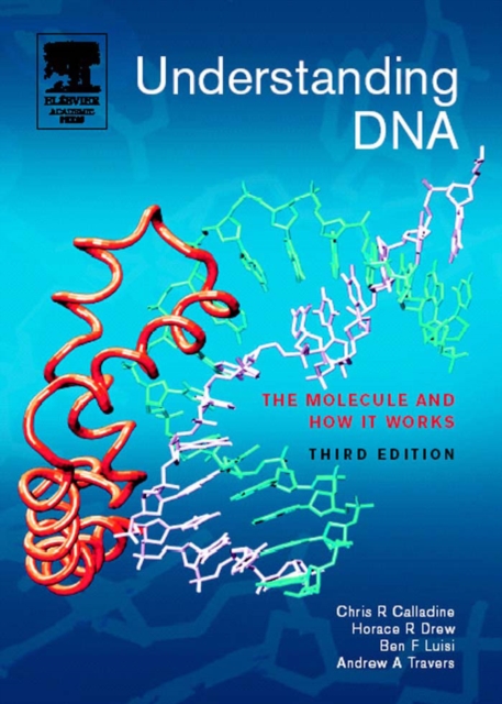 Understanding DNA : The Molecule and How It Works, PDF eBook