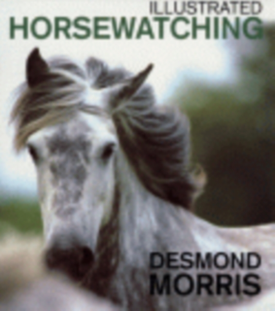 Illustrated Horsewatching, Paperback / softback Book