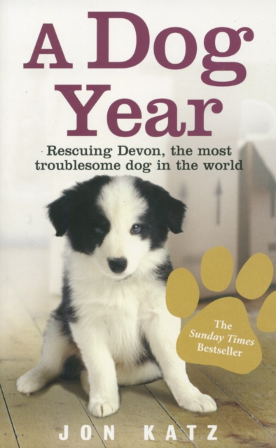 A Dog Year : Rescuing Devon, the most troublesome dog in the world, Paperback / softback Book