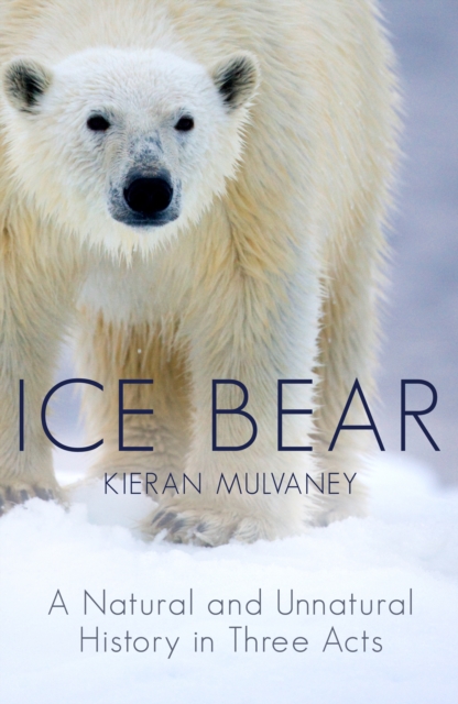 Ice Bear : A Natural and Unnatural History of the Polar Bear, Hardback Book
