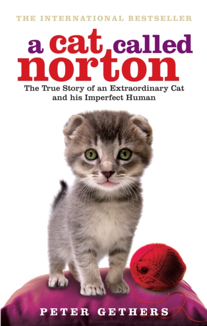 A Cat Called Norton, Paperback / softback Book