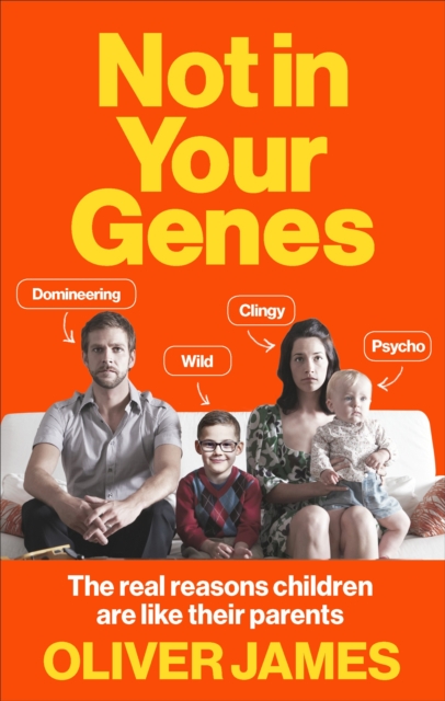 Not In Your Genes : The real reasons children are like their parents, Paperback / softback Book