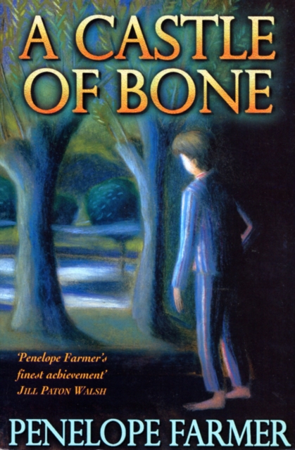 A Castle Of Bone, Paperback / softback Book