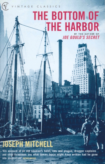 The Bottom Of The Harbor, Paperback / softback Book