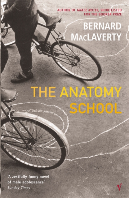 The Anatomy School, Paperback / softback Book
