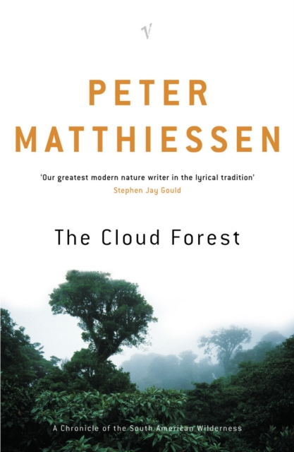 Cloud Forest,the, Paperback / softback Book