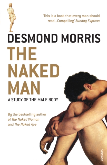 The Naked Man : A study of the male body, Paperback / softback Book