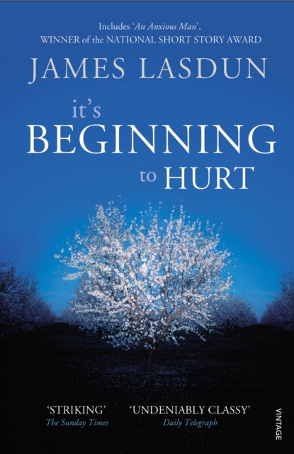 It's Beginning To Hurt, Paperback / softback Book