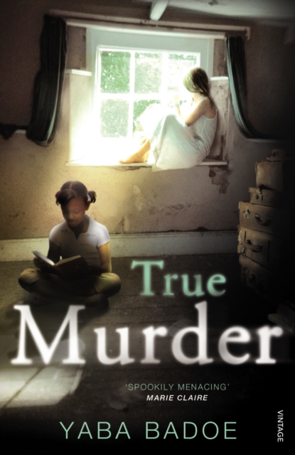 True Murder, Paperback Book