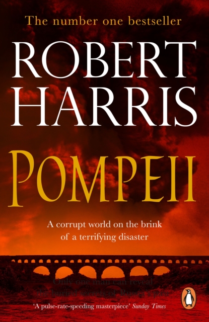 Pompeii : From the Sunday Times bestselling author, Paperback / softback Book
