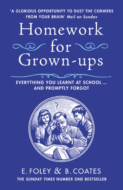 Homework for Grown-ups : Everything You Learnt at School... and Promptly Forgot, Paperback / softback Book