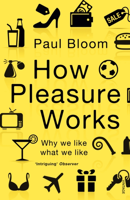 How Pleasure Works : Why we like what we like, Paperback / softback Book