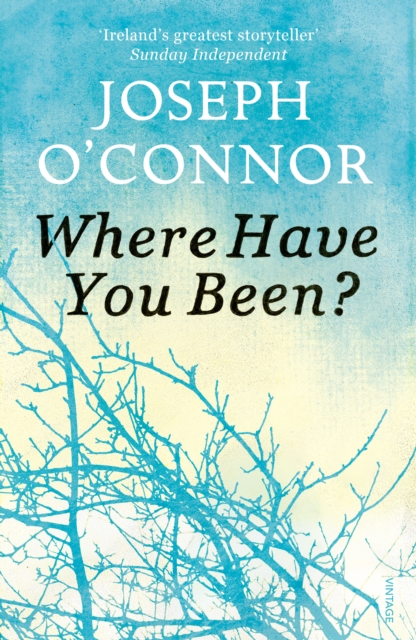 Where Have You Been?, Paperback / softback Book
