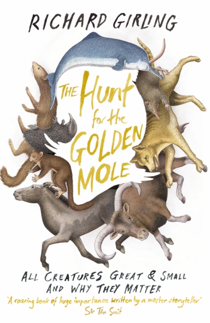 The Hunt for the Golden Mole : All Creatures Great and Small, and Why They Matter, Paperback / softback Book