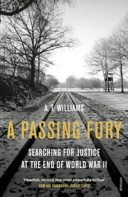 A Passing Fury : Searching for Justice at the End of World War II, Paperback / softback Book