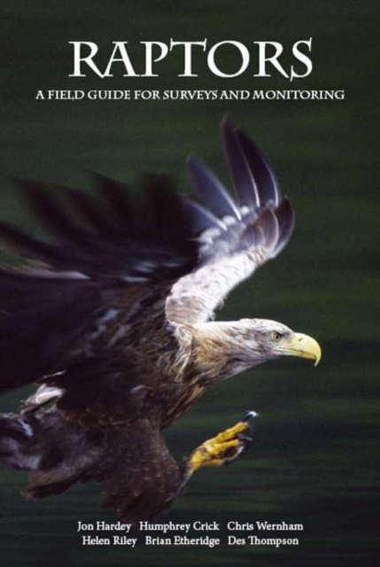 Raptors : A Field Guide for Surveys and Monitoring, Mixed media product Book