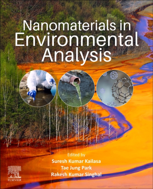 Nanomaterials in Environmental Analysis, Paperback / softback Book