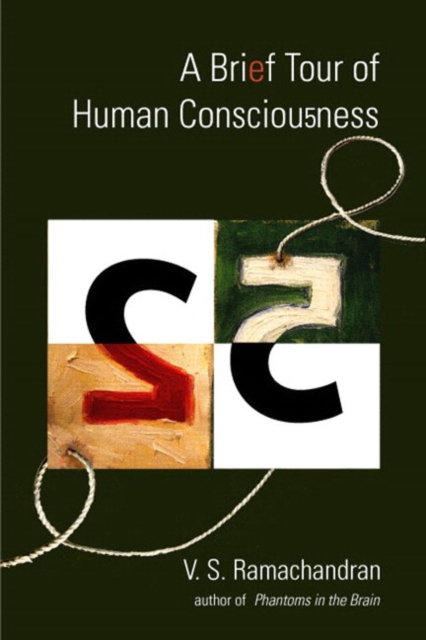 A Brief Tour of Human Consciousness : From Impostor Poodles to Purple Numbers, Hardback Book