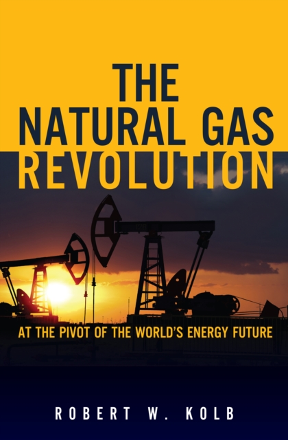 Natural Gas Revolution, The : At the Pivot of the World's Energy Future, EPUB eBook