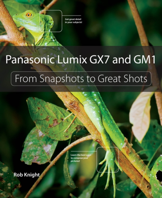 Panasonic Lumix GX7 and GM1 : From Snapshots to Great Shots, PDF eBook