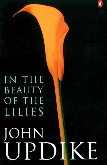 In the Beauty of the Lilies, Paperback / softback Book