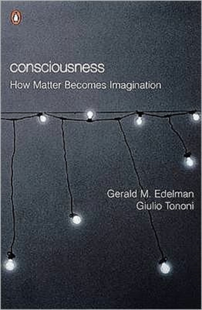 Consciousness : How Matter Becomes Imagination, Paperback / softback Book