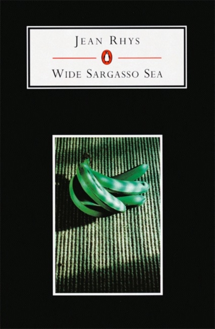 Wide Sargasso Sea, Paperback Book