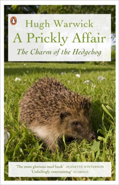 A Prickly Affair : The Charm of the Hedgehog, Paperback / softback Book