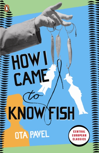 How I Came to Know Fish, Paperback / softback Book