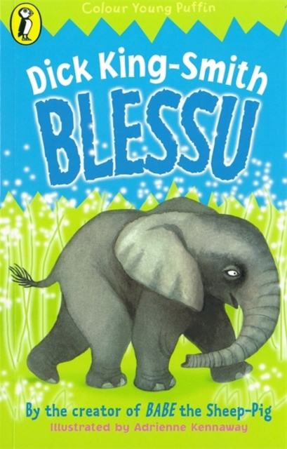 Blessu, Paperback / softback Book