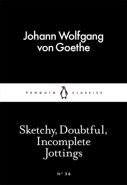 Sketchy, Doubtful, Incomplete Jottings, Paperback / softback Book
