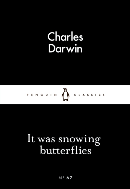 It Was Snowing Butterflies, EPUB eBook