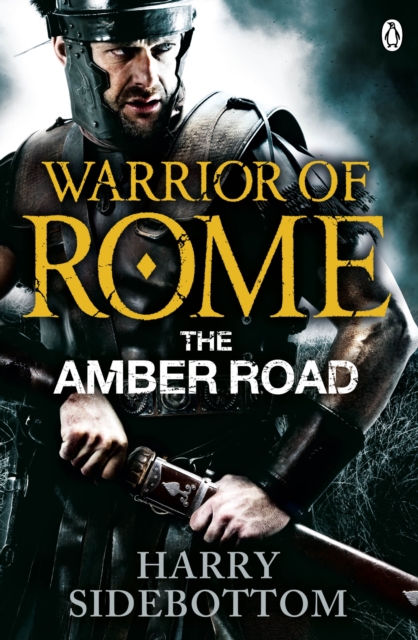Warrior of Rome VI: The Amber Road, EPUB eBook