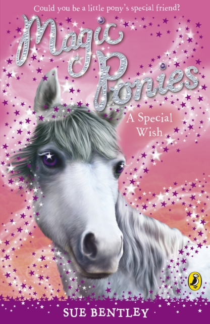 Magic Ponies: A Special Wish, EPUB eBook
