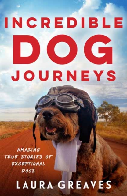 Incredible Dog Journeys : Amazing true stories of exceptional dogs, Paperback / softback Book
