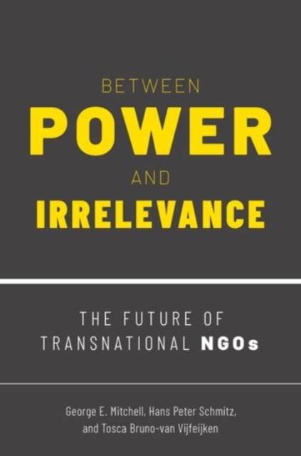 Between Power and Irrelevance : The Future of Transnational NGOs, Paperback / softback Book