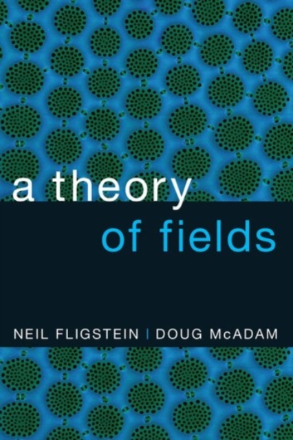 A Theory of Fields, Paperback / softback Book